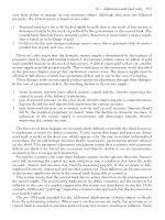 International economics 6th edition phần 8 pdf