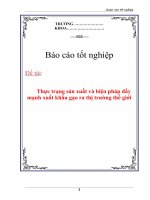 Luận văn:Thực trạng sản xuất và biện pháp đẩy mạnh xuất khẩu gạo ra thị trường thế giới ppsx