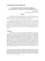 Báo cáo nghiên cứu khoa học đề tài 