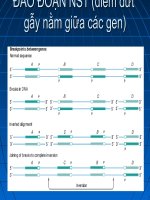 đột biến cấu trúc nst tài liệu của thầy lập