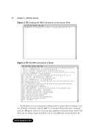 how to cheat at securing a wireless network phần 3 pptx