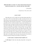 Báo cáo nghiên cứu khoa học đề tài 