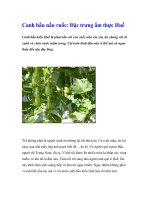 Canh bầu nấu ruốc: Đặc trưng ẩm thực Huế ppsx