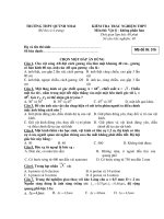 KIỂM TRA TRẮC NGHIỆM THPT Môn thi: Vật lý - Mã đề thi: 516 docx