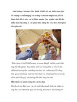 Ảnh hưởng của rượu bia, thuốc lá đối với sức khỏe nam giới docx