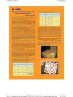 Kiến thức chăn nuôi_2 pot