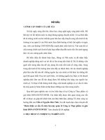 Hoàn thiện cơ cấu tổ chức bộ máy quản lý công ty thực phẩm và giải khát DONANEWTOWER