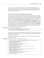 cisco press router security strategies phần 5 ppsx