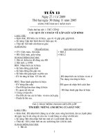 giáo án tuần 13 lớp 1