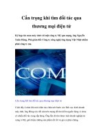 Cẩn trọng khi tìm đối tác qua thương mại điện tử docx
