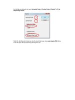 Giáo trình photoshop: Hướng dẫn điều chỉnh và khởi tạo một bức ảnh minh họa phần 7 pot