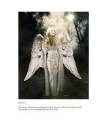 Giáo trình photoshop: Tổng hợp những bài viết hay về đồ họa vi tính phần 5 docx