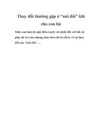 Thay đổi thường gặp ở “núi đôi” ppsx