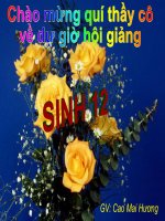 các phương pháp nghiên cứu di truyền học ở người hot