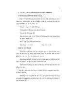 Tình hình hoạt động tại Công ty Cổ phần Mêkông