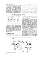 Hệ thống điện trên tàu thuyền - Phần 5 ppsx