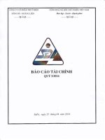 công ty cổ phần thủy điện sông đà hoàng liên báo cáo tài chính quý 1 năm 2014
