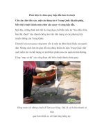 Phát hiện lò chim quay hấp dẫn làm từ chuột pot