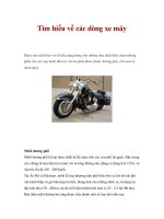 Tìm hiểu về các dòng xe máy pptx