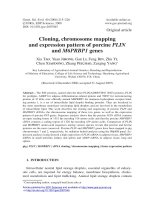 Báo cáo sinh học: 