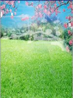 Bai 24 Y nghia van chuong ppt