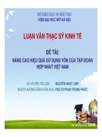 Nâng cao hiệu quả sử dụng vốn của tập đoàn hợp nhất việt nam (ppt)