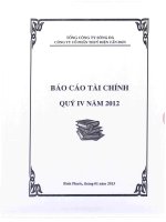 tổng công ty sông đà công ty cổ phần thủy điện cần đơn báo cáo tài chính quý 4 năm 2012