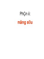 BÀI GIẢNGNỀN VÀ MÓNG - PHẦN 2 pot