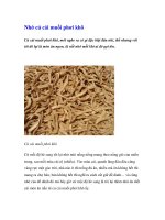 Nhớ củ cải muối phơi khô doc