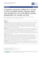 Báo cáo sinh học: 