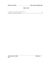 Đặc điểm tổ chức kiểm toán của công ty TNHH tài chính và kiểm toán việt nam