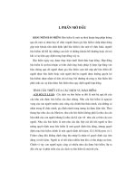 Thực trạng và giải pháp cho bảo hiểm thương mại ở Việt Nam