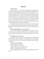 đánh giá hiệu năng của vi xử lý đa lõi dựa trên kiến trúc kết nối