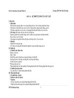 TIẾT 15: SỰ RƠI TỰ DO CỦA CÁC VẬT. pot