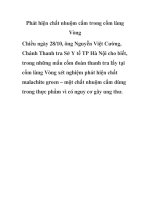 Phát hiện chất nhuộm cấm trong cốm làng Vòng pdf