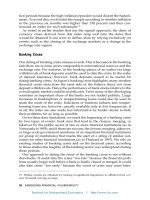 assessing financial vulnerability an early warning system for emerging markets phần 3 pot