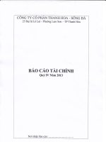 công ty cổ phần thanh hoa sông đà báo cáo tài chính quý 4 năm 2013