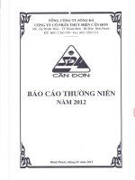 tổng công ty sông đà công ty cổ phần thủy điện cần đơn báo cáo thường niên 2012