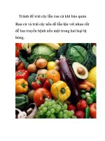 Tránh để trái cây lẫn rau củ khi bảo quản pot