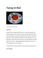 Tương ớt Huế ppsx