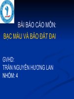 BÁO CÁO BẠC MÀU ĐẤT doc