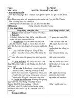 giáo án tuần 19 lớp 5