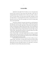 Tình hình hoạt động tại công ty Truyền tải điện 1