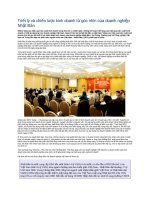 Triết lý và chiến lược kinh doanh từ góc nhìn của doanh nghiệp Nhật Bản pps