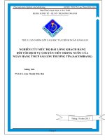 nghiên cứu mức độ hài lòng khách hàng đối với dịch vụ chuyển tiền trong nước của ngân hàng tmcp sài gòn thương tín (sacombank)