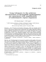 Báo cáo sinh học: 