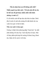 Nấu ăn dặm làm sao để không mất chất? pdf