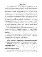 Tình hình tổ chức hạch toán kế toán tại công ty cổ phần sứ kỹ thuật hoàng liên sơn