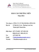 tổng công ty sông đà công ty cổ phần thanh hoa sông đà báo cáo thường niên 2012