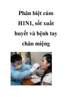 Phân biệt cúm H1N1, sốt xuất huyết và bệnh tay chân miệng docx